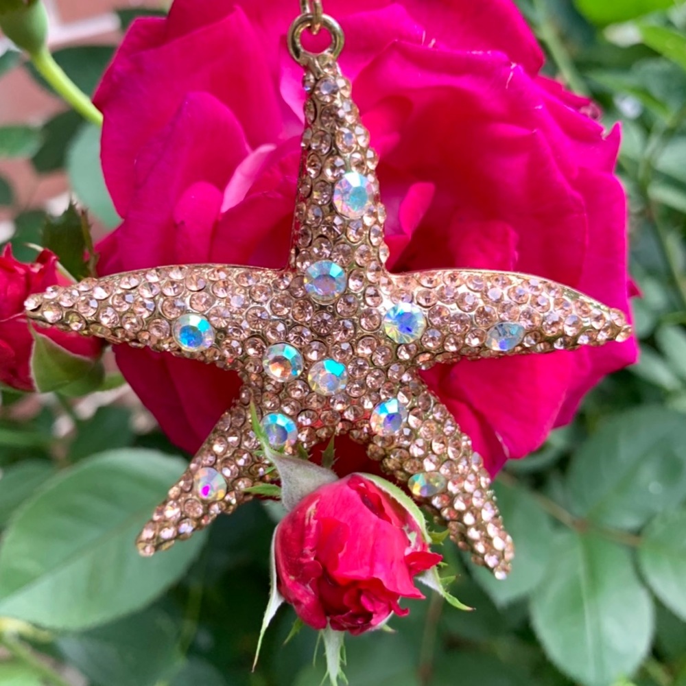 🍋 Starfish ⭐️ ALDO keychain